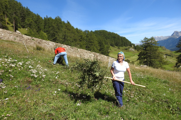 NatürActiva - Arbeitseinsätze in der Natur.