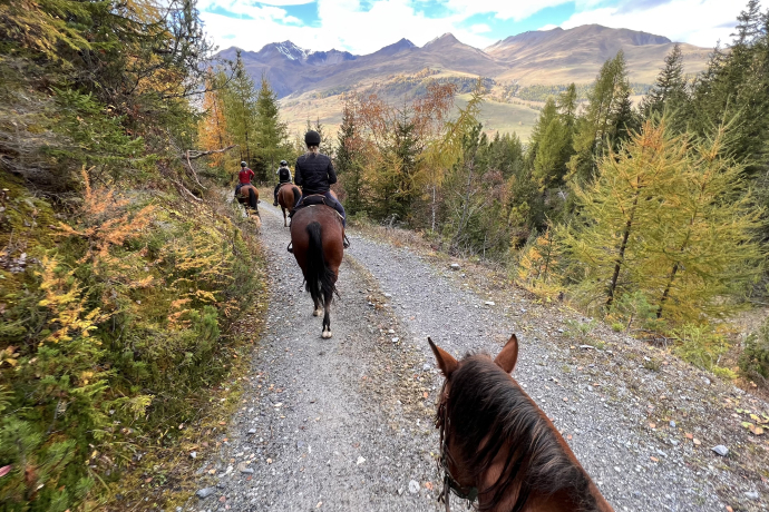 Ausritte in die Unterengadiner Natur.