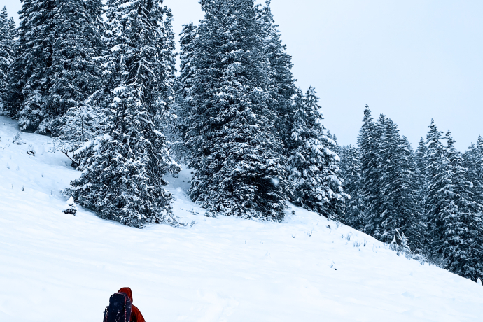 Schneeschuhwandern ©Sophia Bartolomei