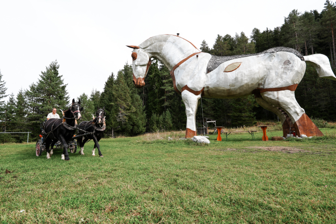 Mit der Pferdekutsche bei der Agata. Foto: Michelle Zbinden Mit der Pferdekutsche bei der Agata.