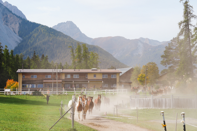 Pferdeherde auf San Jon. Foto: Michelle Zbinden Pferdeherde auf San Jon.