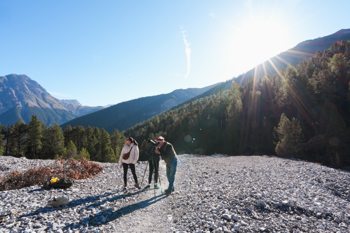 Wildbeobachtung im Val Mingèr.