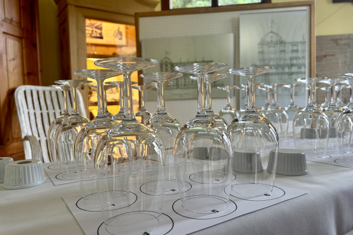 Mineralwasser-Degustation: Apéro und Mineralwasser-Tasting und Food-Pairing im Waldhaus-Museum