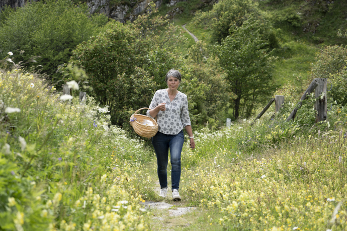 Wildkräuter sammeln mit Heidi