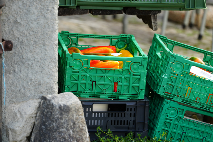 Gemüse Lieferung, Café ajüz Gemüse Lieferung, Café ajüz