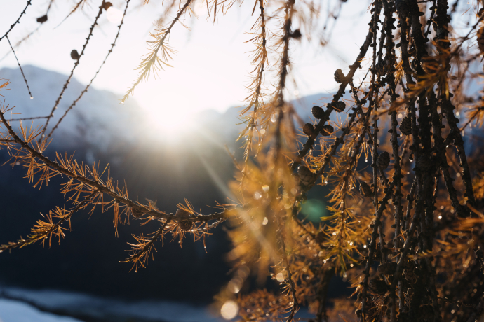 Herbst im Engadin