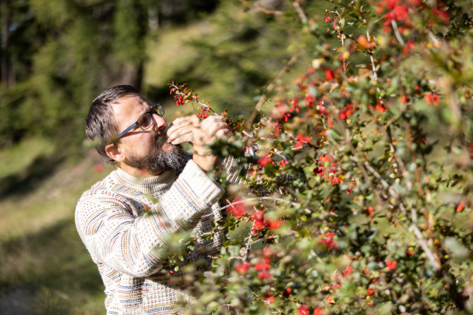 Curdin Tones, Tschlin Curdin Tones, Tschlin