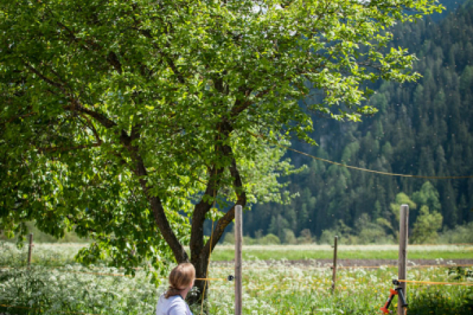 Hof von Prodots Etter