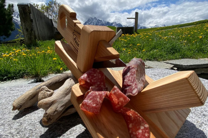 Haussalzis Bacharia Zanetti