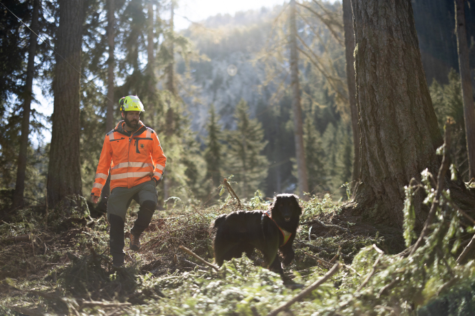 Storytelling Antonin Hugentobler Hund auf Suche