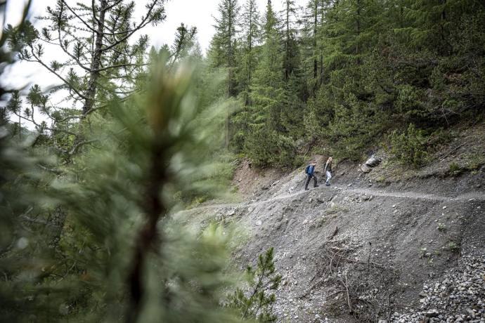 Wandern