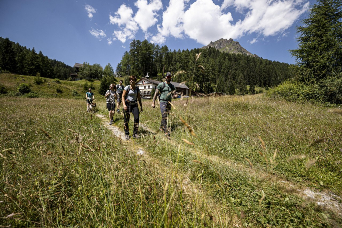 Wandern