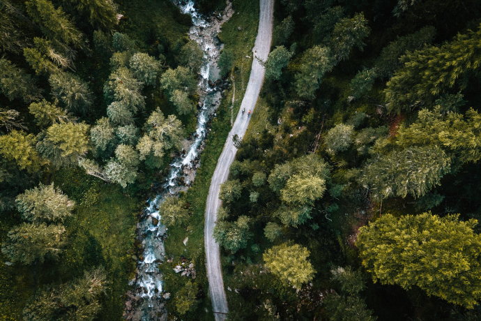 Luftaufnahme eines schmalen Weges, der sich durch dichten Wald schlängelt, neben einem Bach, der durch die Bäume fliesst.