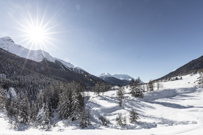 Winterlandschaft