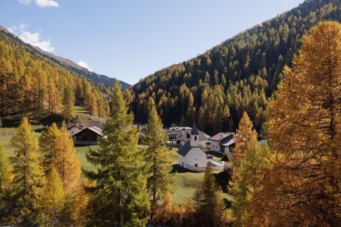 Die Lärchenfärbung im Val S-charl bei Scuol im Engadin.