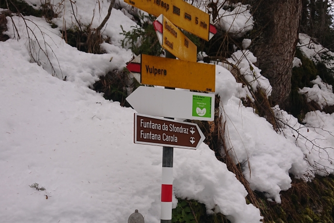 Wegweiser für Mineralwasserwege Scuol – Sfondraz- und Carola-Quelle