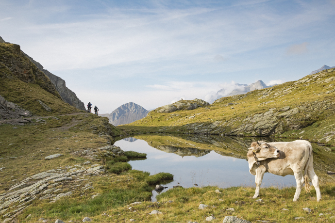 Über die Grenze nach Italien Über die Grenze nach Italien