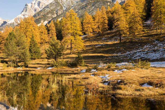 Der Herbst am kleinen Bergsee Lai Nair, oberhalb von Tarasp, im Unterengadin. Bild: Dominik Täuber Der Herbst am kleinen Bergsee Lai Nair, oberhalb von Tarasp, im Unterengadin. Bild: Dominik Täuber