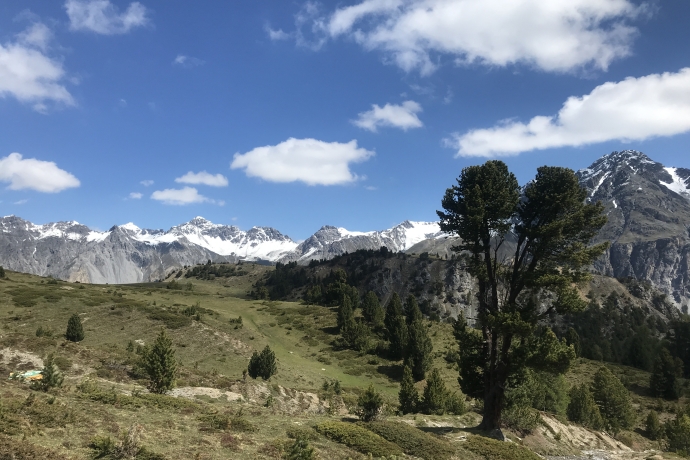 Wanderung zum Munt la Schera im Schweizerischen Nationalpark