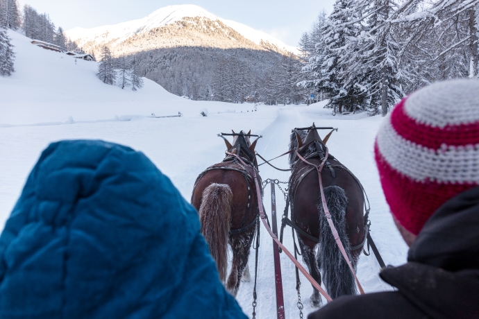 Pferdeschlittenfahrt nach S-charl – ©Thalia Wünsche, Chur Pferdeschlittenfahrt nach S-charl – ©Thalia Wünsche, Chur