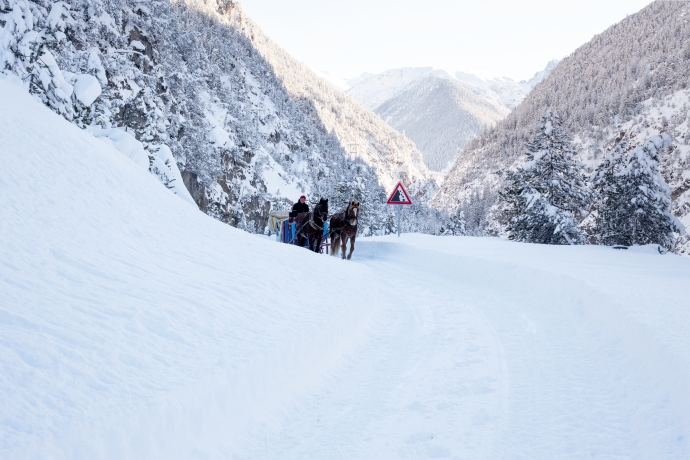 Pferdeschlittenfahrt nach S-charl – ©Thalia Wünsche, Chur Pferdeschlittenfahrt nach S-charl – ©Thalia Wünsche, Chur