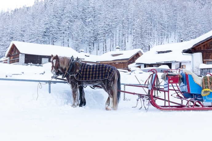 Pferdeschlittenfahrt nach S-charl – ©Thalia Wünsche, Chur