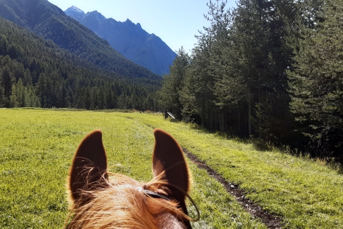 Ausreiten in San Jon, Unterengadin