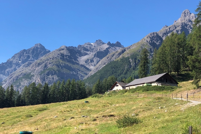 Alp Laisch im Unterengadin Alp Laisch im Unterengadin