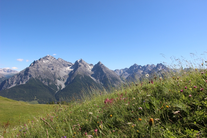 Wanderung Alp Laret im Unterengadin Wanderung Alp Laret im Unterengadin