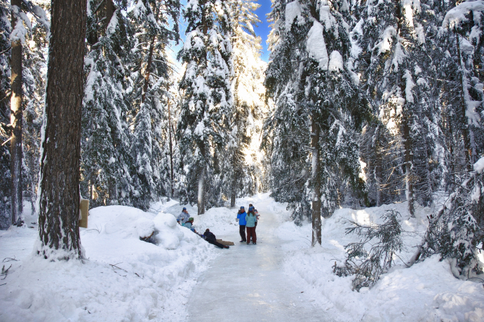 Der Eisweg Engadin bei Sur En im Unterengadin. Ein Wintermärchen.