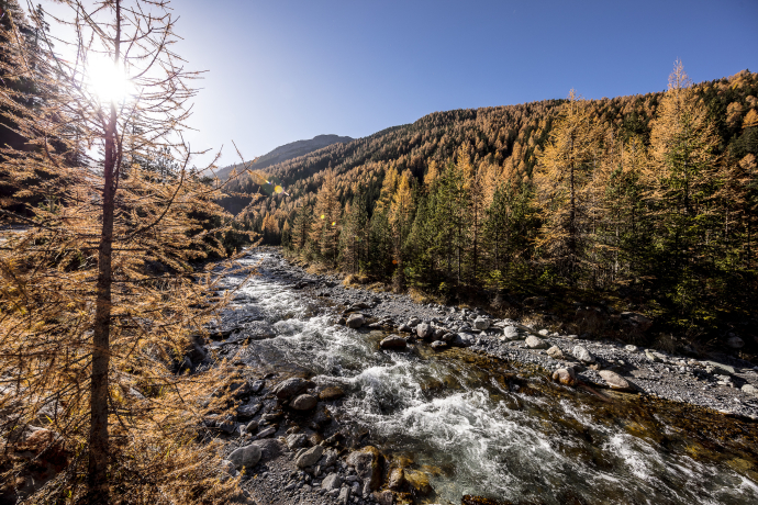 Der Herbst im Unterengadin. Der Herbst im Unterengadin.