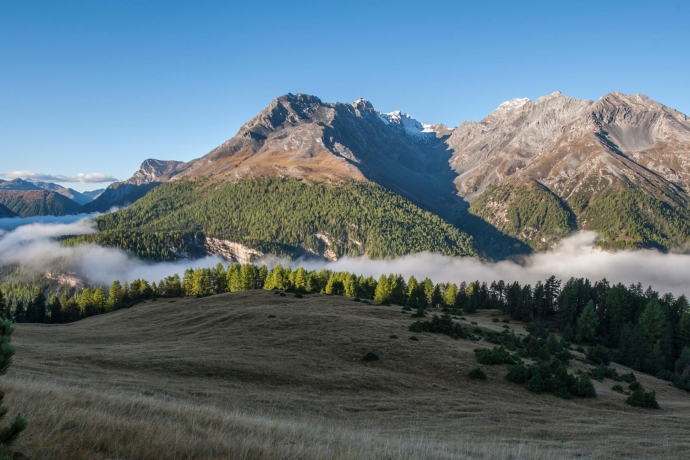 Wandern im Schweizerischen Nationalpark. Wandern im Schweizerischen Nationalpark.