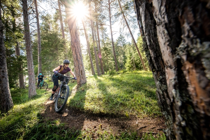 Mit dem Mountainbike durch die Engadiner Wälder. Mit dem Mountainbike durch die Engadiner Wälder.