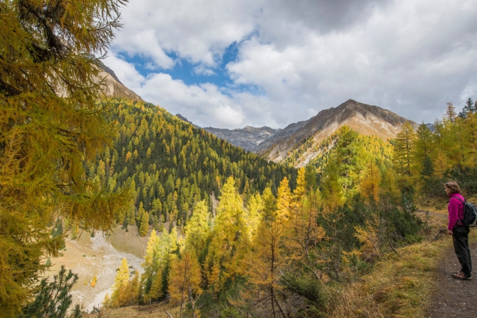 Wandern im Schweizerischen Nationalpark. Wandern im Schweizerischen Nationalpark.