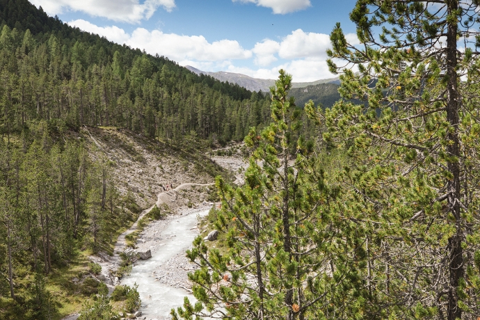 Wandern im Schweizerischen Nationalpark