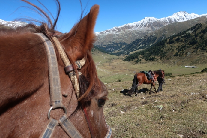 Wunderschöne Landschaft beim Pferdetrakking erkunden