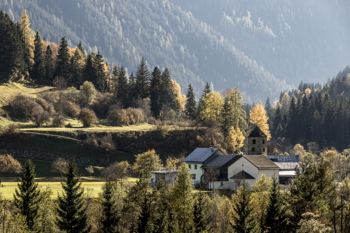 Heckenlandschaft in San Niclà, Tschlin in der Ferienregion Engadin Scuol Zernez Heckenlandschaft in San Niclà, Tschlin in der Ferienregion Engadin Scuol Zernez