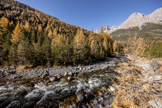 Goldener Herbst im Val S-charl. Goldener Herbst im Val S-charl.