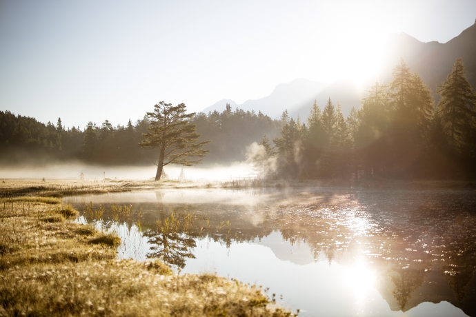 #engadinbidiar. Wir bringen das Engadin zu dir nach Hause. Bild: Dominik Täuber. #engadinbidiar. Wir bringen das Engadin zu dir nach Hause. Bild: Dominik Täuber.