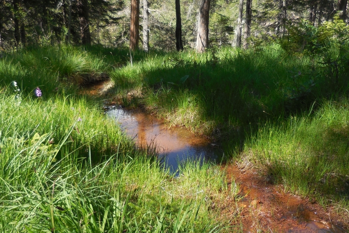 San Jon Dadaint-Quelle - Mineralwasserwege Scuol San Jon Dadaint-Quelle - Mineralwasserwege Scuol