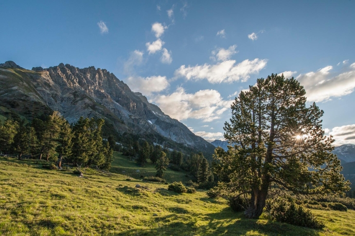 Das Val Mingèr im Schweizerischen Nationalpark. Das Val Mingèr im Schweizerischen Nationalpark.