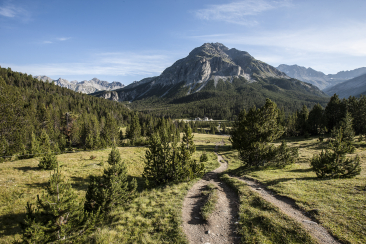 Naturpark Biosfera im Val Müstair