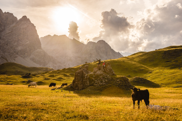 Freilaufende Pferde im Val Mora, auf der dritten Etappe der BIke-Tour.
