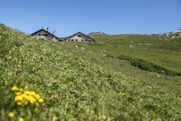 Alp Laret oberhalb von Ftan im Unterengadin