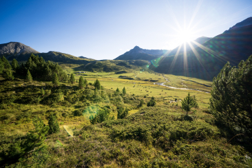 Blick auf die Alp Astras in S-charl.