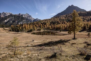Herbst im Unterengadin.
