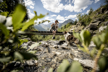 Wanderung mir dem Hund