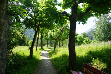 Tras Scuol - Strecken