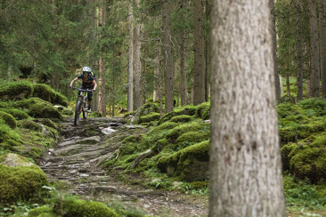 Unterwegs auf verwurzelten Trails