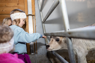 Where does the milk come from? In a mountain valley like the Engadine, agriculture can be experienced from an early age.